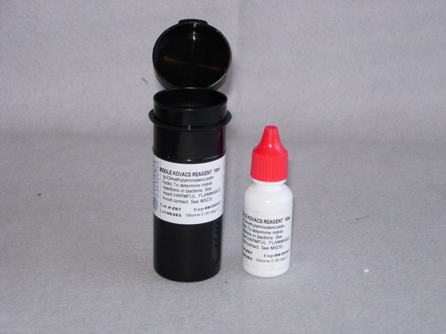 Indole, Kovac's Reagent (Hardy)