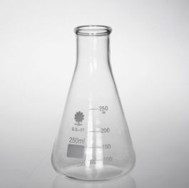 Erlenmeyer Flask, 100mL