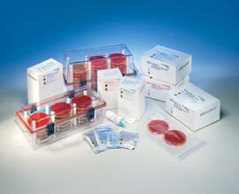 Catalyst Reaction Chamber for Gaspak Systems