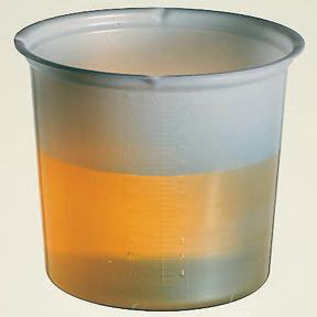 Graduated Polystyrene Beaker, 250mL