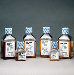 Serum Fetal Bovine, Defined