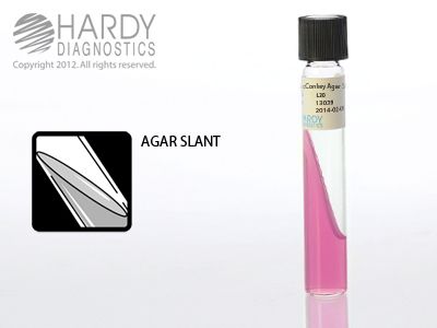 MacConkey Agar Slant <b>(MINIMUM ORDER: 5 packs)