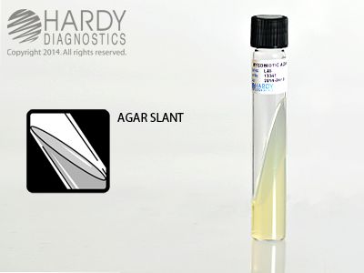 Mycobiotic Agar Slant