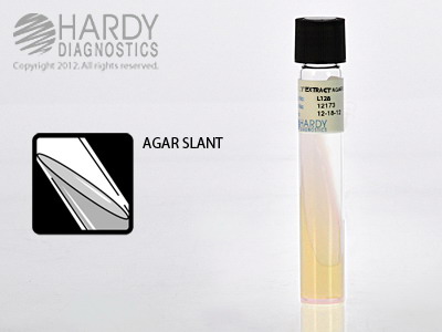 Malt Extract Agar With 0.01% Chloramphenicol