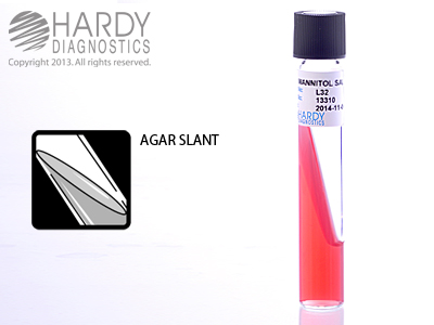 Mannitol Salt Agar Slant <b>(MINIMUM ORDER: 5 packs)