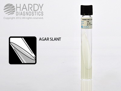 Potato Dextrose Agar Slant