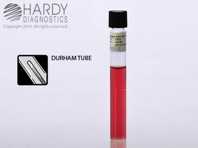 Phenol Red Broth With Glycerol, 10mL