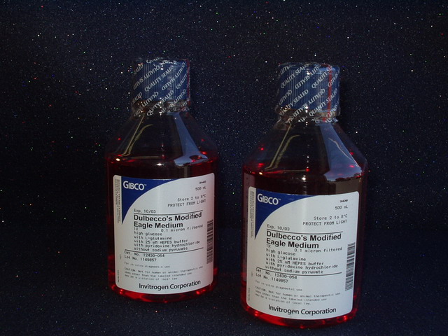 Dulbecco Modified Eagle Medium (MEM)