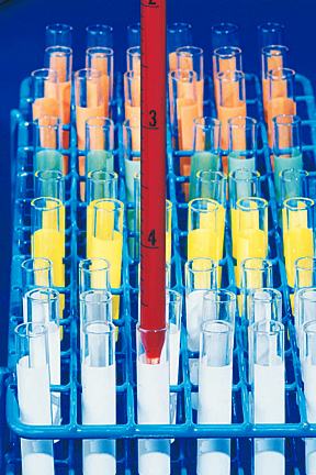 Pipet, Serological Borosil. - 5 mL.