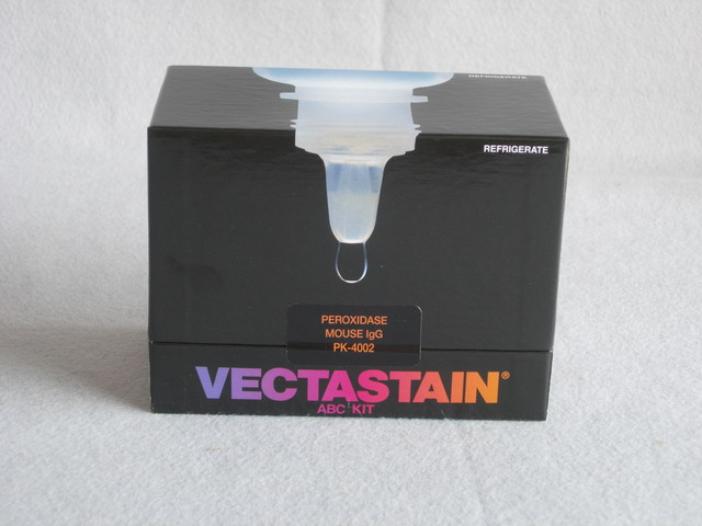 VECTASTAIN ABC Kit (Mouse IgG )