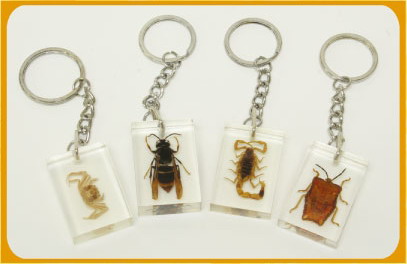 Buggin-Out - Key Chain, Crab