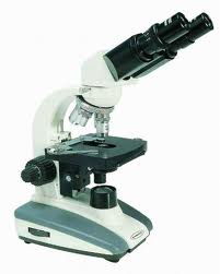 Professional Microscope
