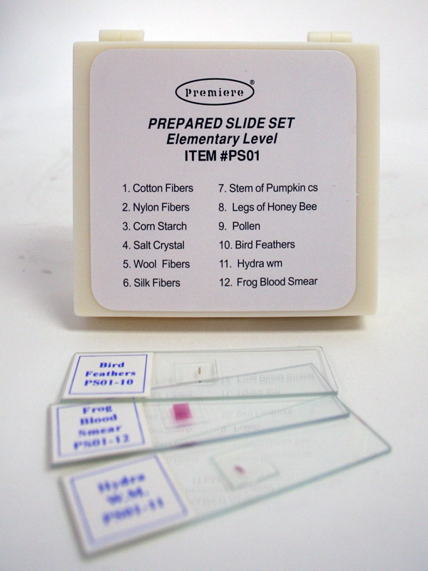 Elementary Level Slide Set