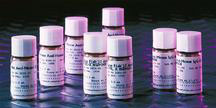 Goat anti mouse IgG-Biotin 1.0mg