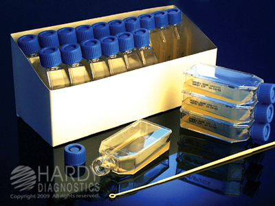 Aspartic Acid Media