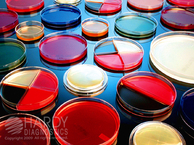 BHI (Brain Heart Infusion) Agar, Deep Fill