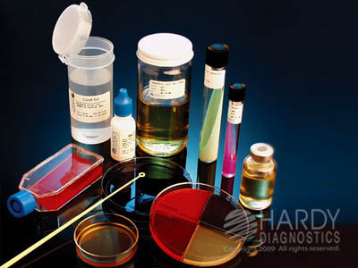 Fermemtation Broth Base, 2mL