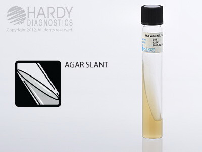 Inhibitory Mold Agar With Gentamicin Slant