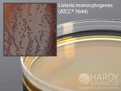 LPM Agar