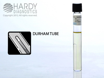 Lauryl Tryptose Broth, Single Strength