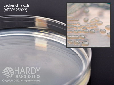 Letheen Agar, Modified