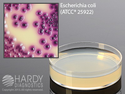 Modified mTEC Agar
