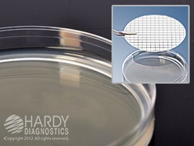Nutrient Agar w/MUG