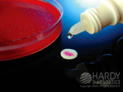 PYR Test Kit - 100 Tests