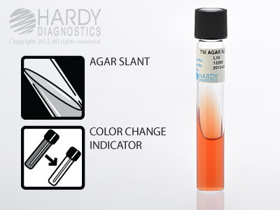 TSI Agar Slant, 6.0mL