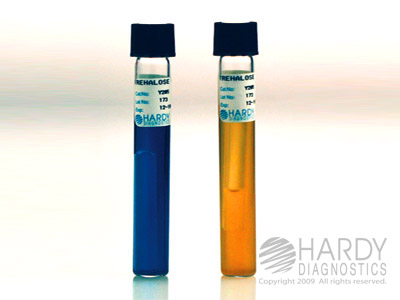 Trehalose Fermentation Broth, 5mL