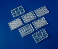 Multiple Well Plates, Sterile